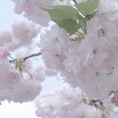 湄潭FurryQQ群介绍